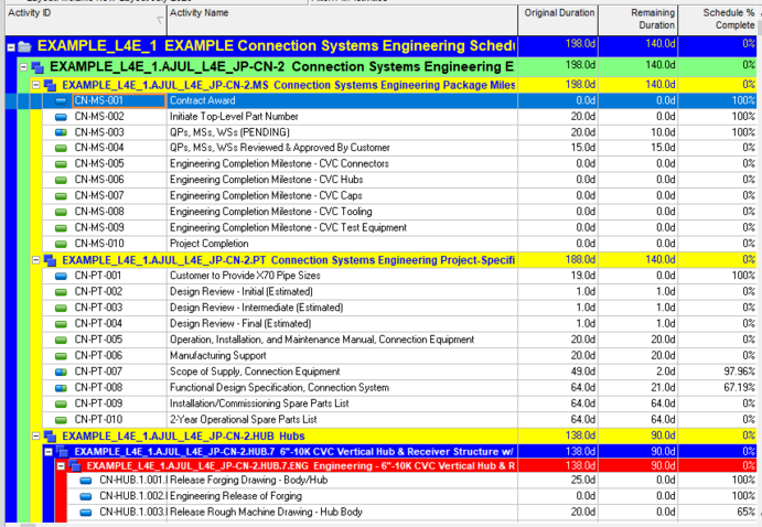 Primavera P6 project schedule layout