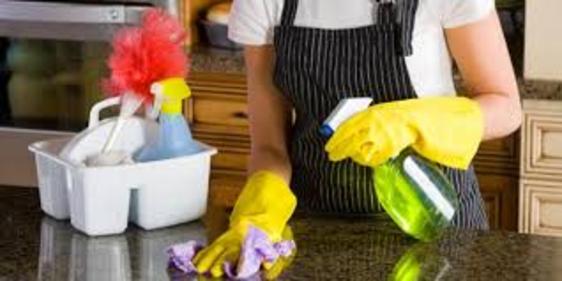 Best General Housekeeping Services in Las Vegas NEVADA MGM Household Services