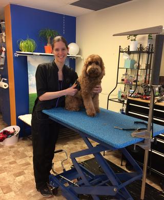 Royal paws mobile sales grooming