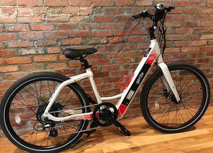 GenZe e202 Electric Bicycle