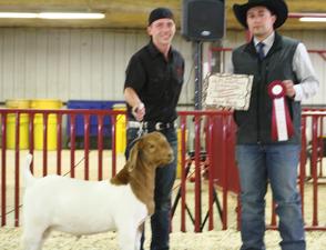 JC Boer Goats Olivia