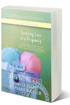 Grief Diaries Surviving Loss of a Pregnancy book