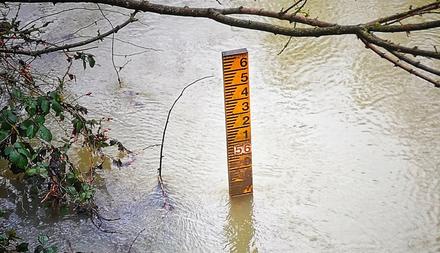 Picture of flood marker