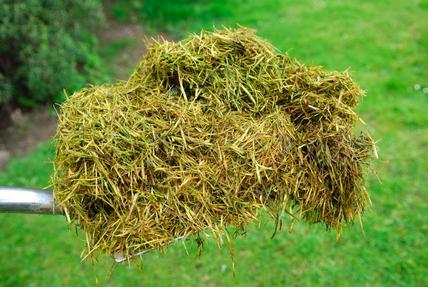 Best grass clippings removal services in Lincoln NE | LNK Junk Removal