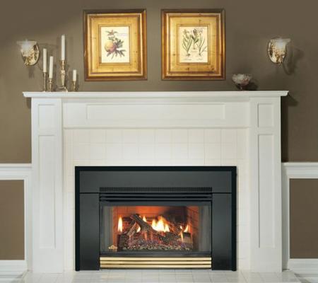 GAS FIREPLACE TUNE UP, INSPECTION AND CLEANING