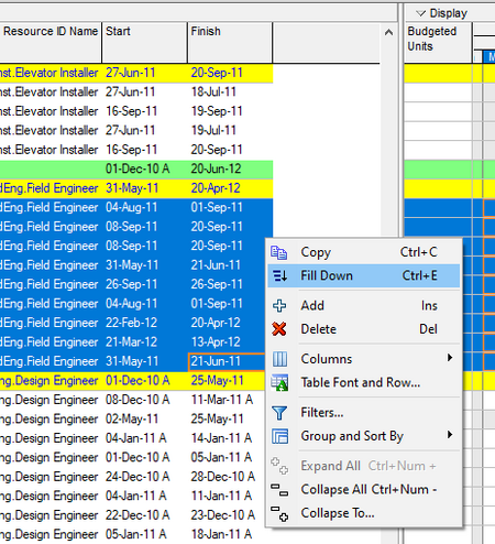 Use Primavera P6 fill-down option