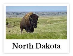 North Dakota online chiropractic CE seminars continuing education courses for chiropractors credit hours state board approved CEU chiro courses live DC events