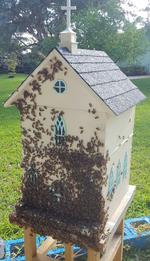 beehive-church-beehouse-backyard-custom