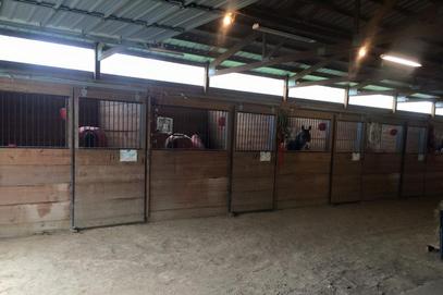 Triple M Stable, Council Bluffs, IA- Indoor Stalls
