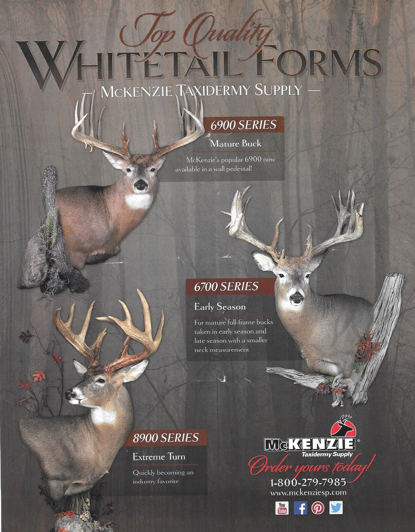 Whitetail deer clearance mounts