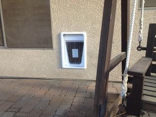 Electronic Pet Door Installation Buckeye Arizona