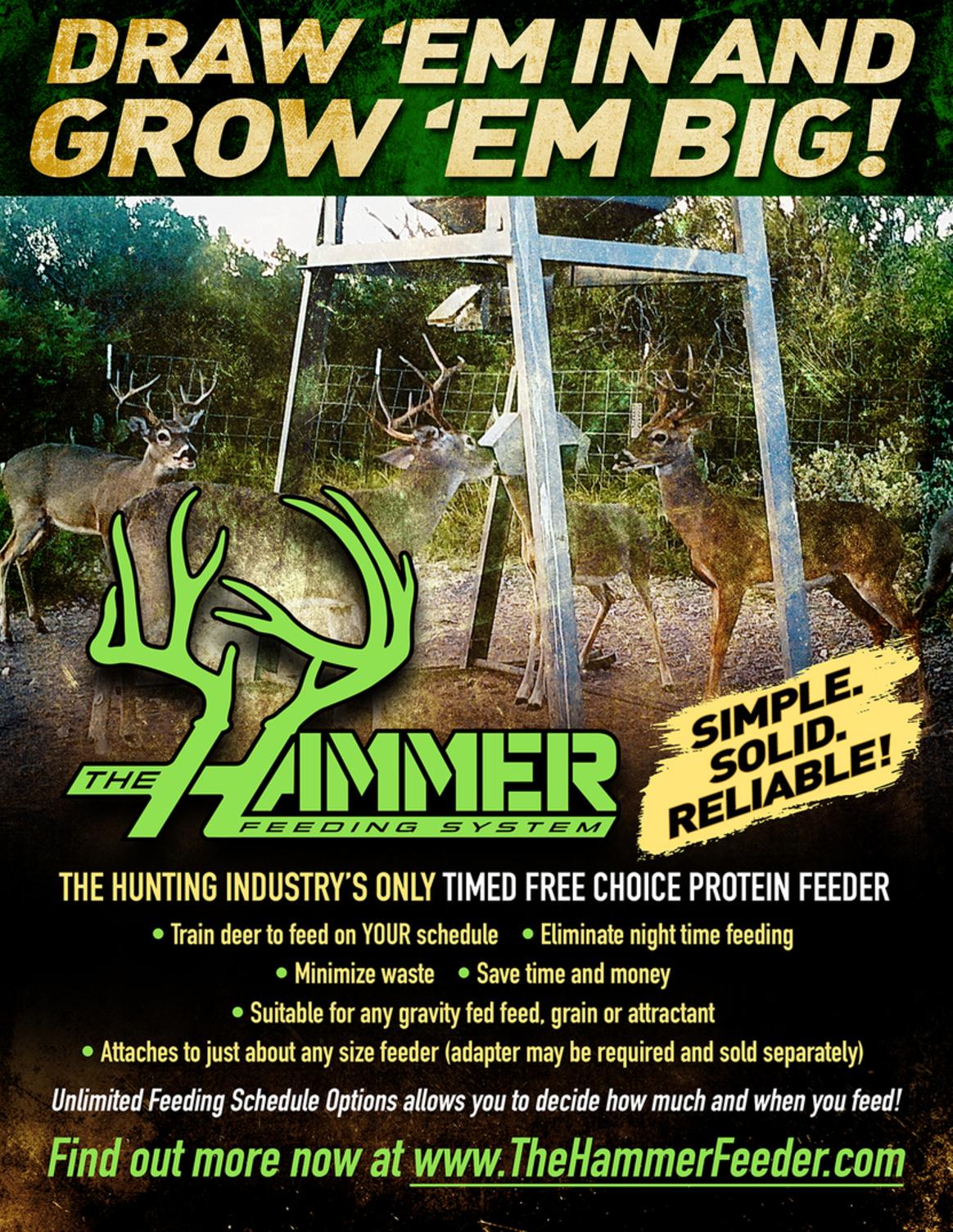 The Hammer Feeding System Timed Protein Feeders