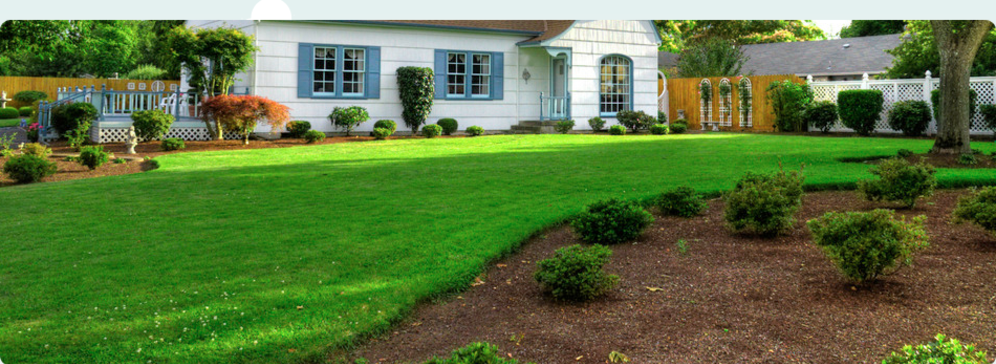 Beautiful lawns and gardens in Oakville