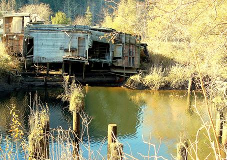 river deep washington wa wahkiakum county coffee lake state ghost intel logging towns 1875