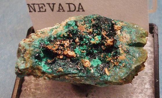 BROCHANTITE crystals Douglas Hill Mine Nevada