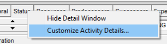 Customize activity details in Primavera P6 notebook topics