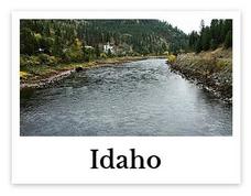 Idaho online chiropractic CE seminars continuing education courses for chiropractors credit hours state board approved CEU chiro courses live DC events
