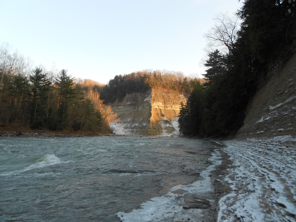 WNY Fly Fishing