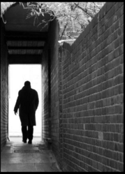 Individual Prevention and Intervention Services