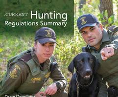 Hunting Regulations and Summary Guidebook
