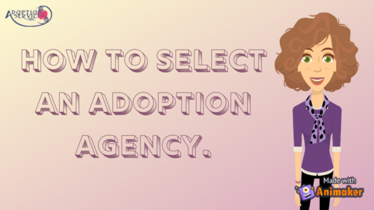How to Pick an Adoption Agency | Adoption Services Inc | Wisconsin