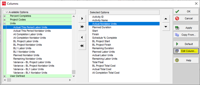 Primavera P6 columns options box