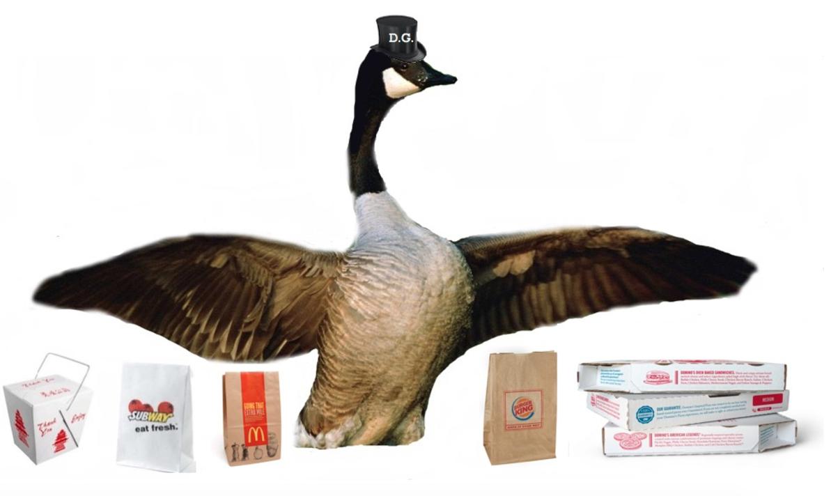 delivery goose