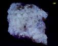 fluorescent CALCITE crystals - National Limestone Quarry #2, Lime Ridge, Mount Pleasant Mills, Perry Township, Snyder County, Pennsylvania, USA - for sale