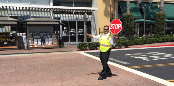 Safe Life Pedestrian Manager