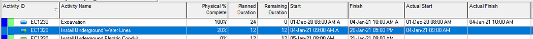 Suspend the Primavera P6 task in the schedule