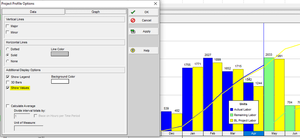 Use Primavera P6 bottom layout options