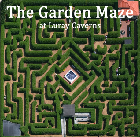 The Garden Maze