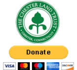 CLT Donate Button
