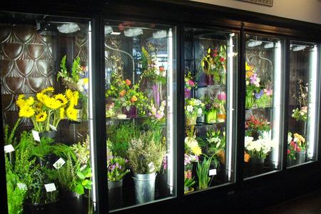 Flower Cooler, Floral Display Cooler, Flower Refrigerator
