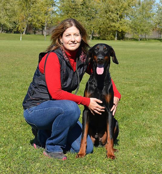 Doberman schutzhund best sale