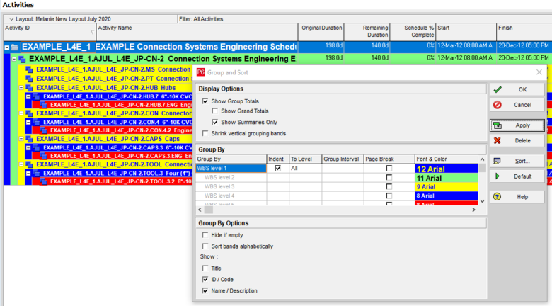 Group and sort Primavera P6 options