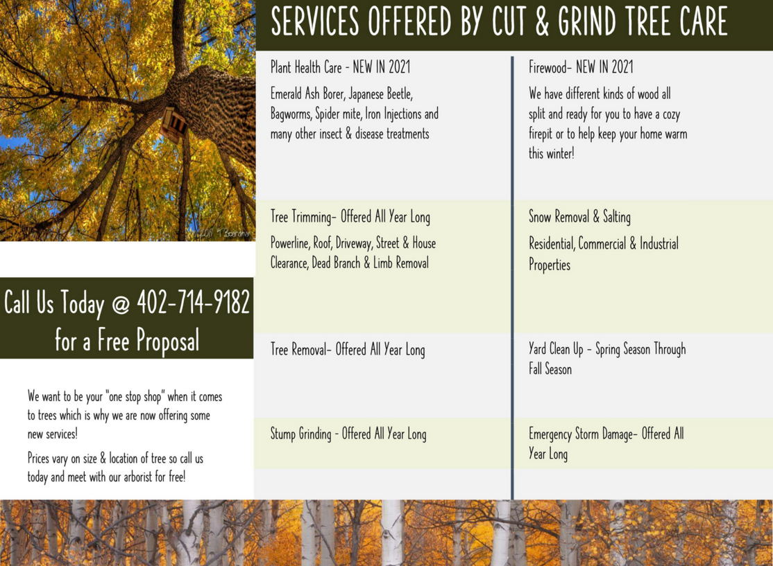 Winter Tree Damage I Omaha Tree Service