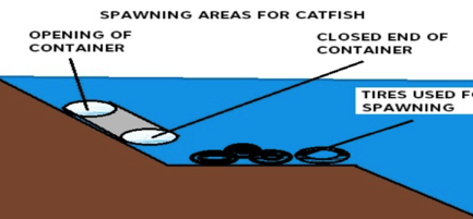 FISH HABITAT & SPAWNING