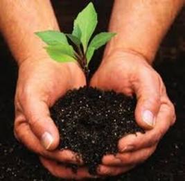 Hands cradling a mound of soil