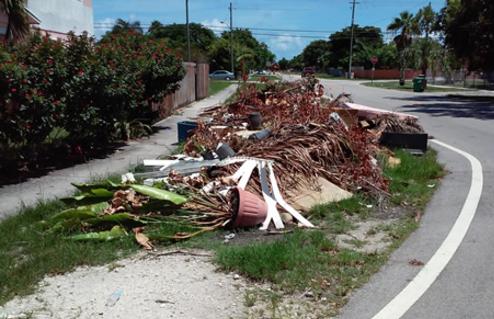 How Much Does Tree Branch Removal Junk Removal Cost In Omaha NE? Omaha Junk Disposal