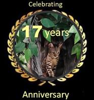 17 year anniversary for Fantasy Forest Cat Trees