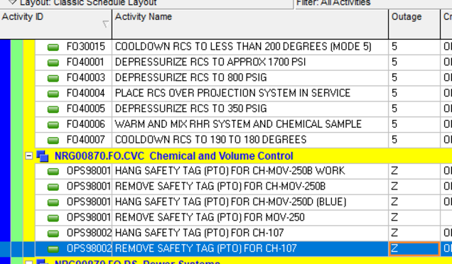 Primavera P6 tasks after applying activity codes