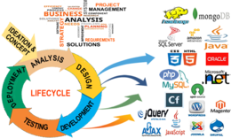 EXPERTISE - PROVEN EXPERIENCE UNIQUE INSIGHTS