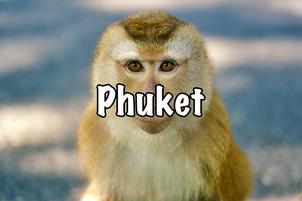 Phuket Thailand Monkey Hill