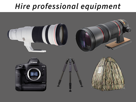 Bird photography & digiscoping equipment hire