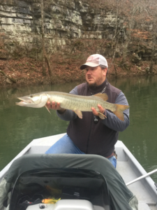 Guided Fly Fishing for Muskies