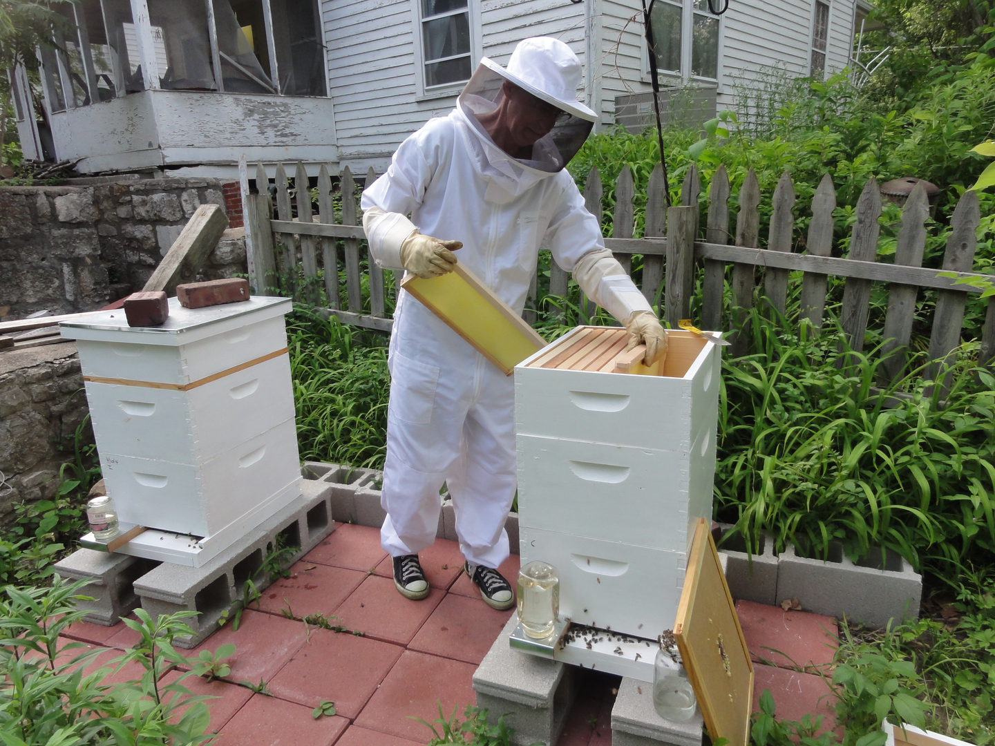 U.S. Top Bar Beekeepers Association