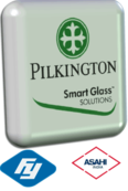 Pilkinton logo aguila de coatza