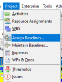 Assign Primavera P6 baseline