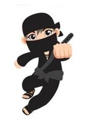 Physics Ninja punching picture